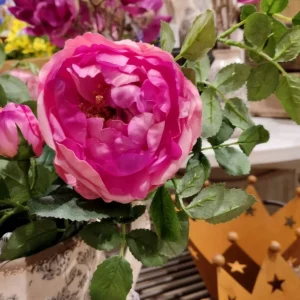 Roskvist - Pink - Ros - 45 cm
